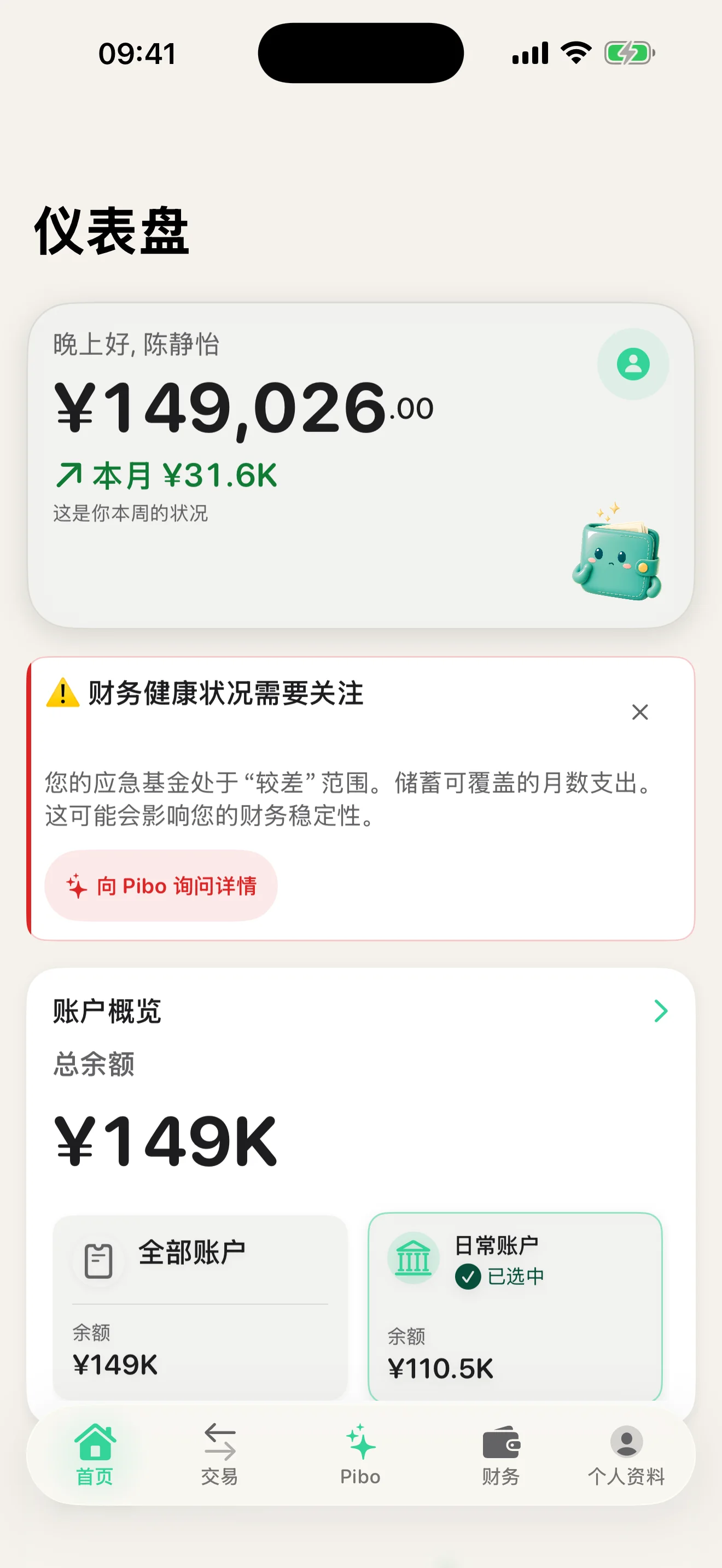 财务概览
